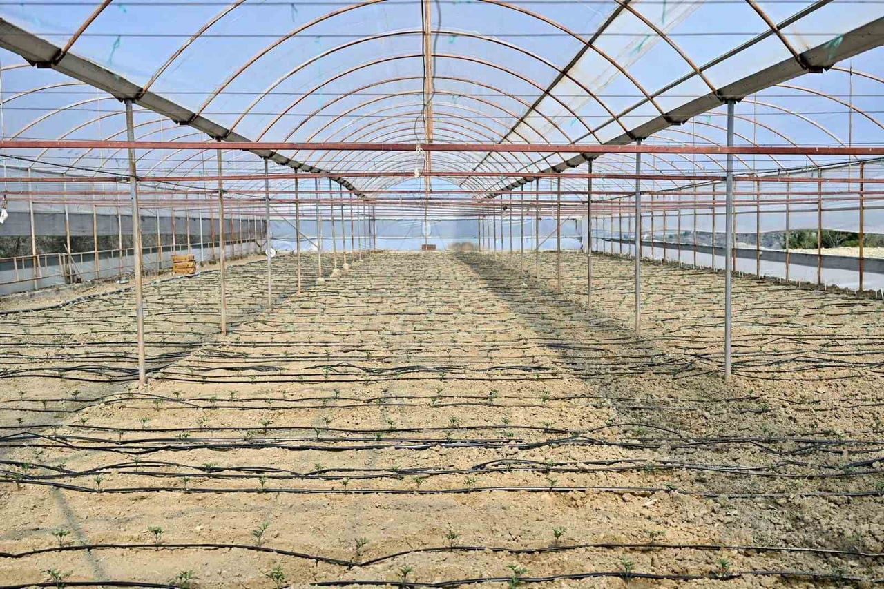 MANİSA BÜYÜKŞEHİR BELEDİYESİ, KIRSAL KALKINMA HAMLESİ KAPSAMINDA GÖRDES’İN ÇİĞİLLER...