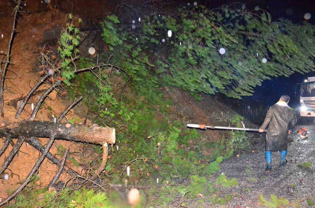 MANİSA’DA ETKİLİ OLAN YOĞUN YAĞIŞLAR SPİL DAĞI MİLLİ PARKI YOLUNDA AĞAÇ DEVRİLMESİ VE TOPRAK...