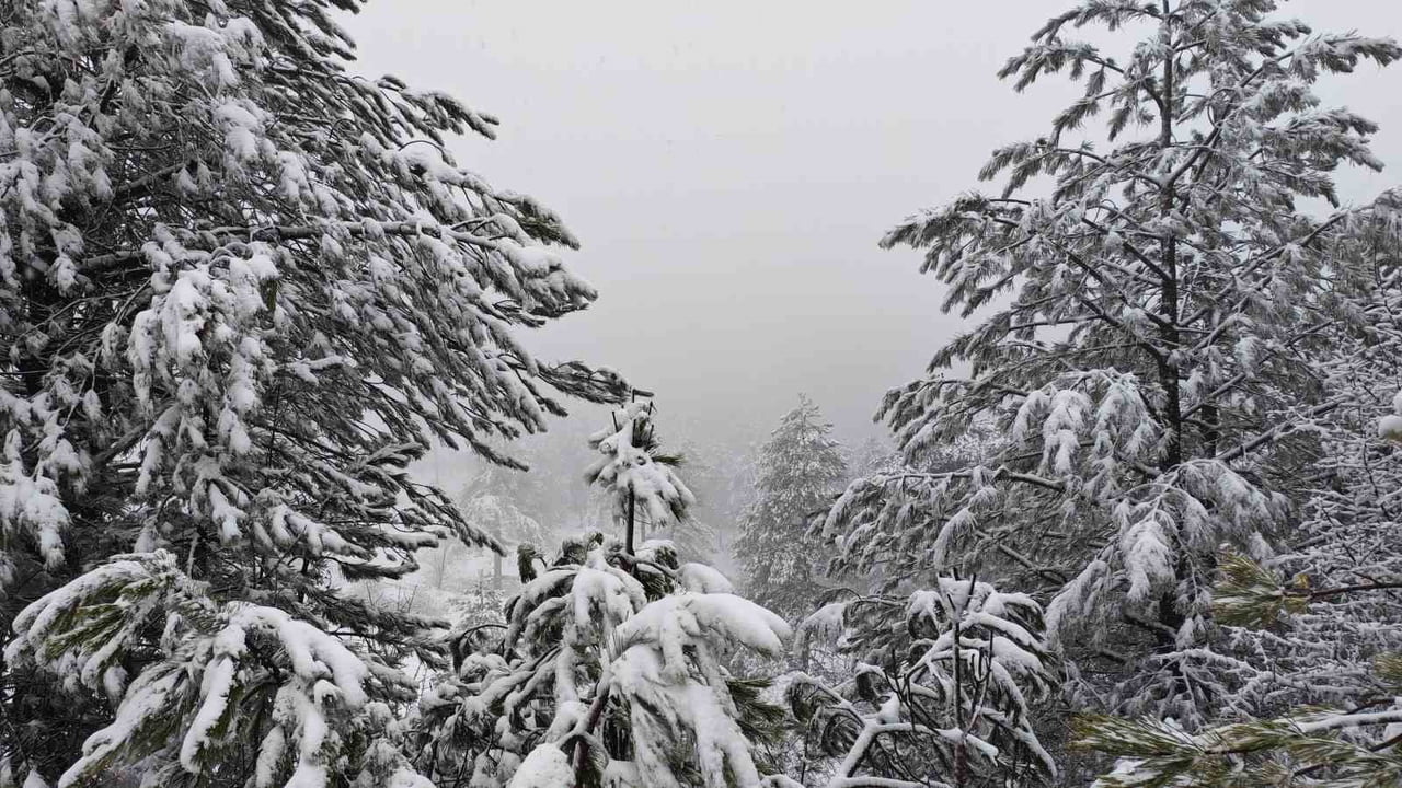 MANİSA’NIN DEMİRCİ İLÇESİNDE YÜKSEK KESİMLERDE KAR YAĞIŞI ETKİLİ OLUYOR.