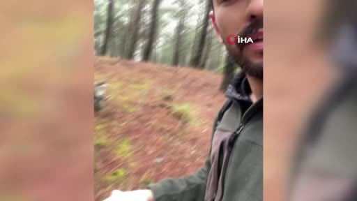 Mantar aramak için çıktığı doğada maymun buldu