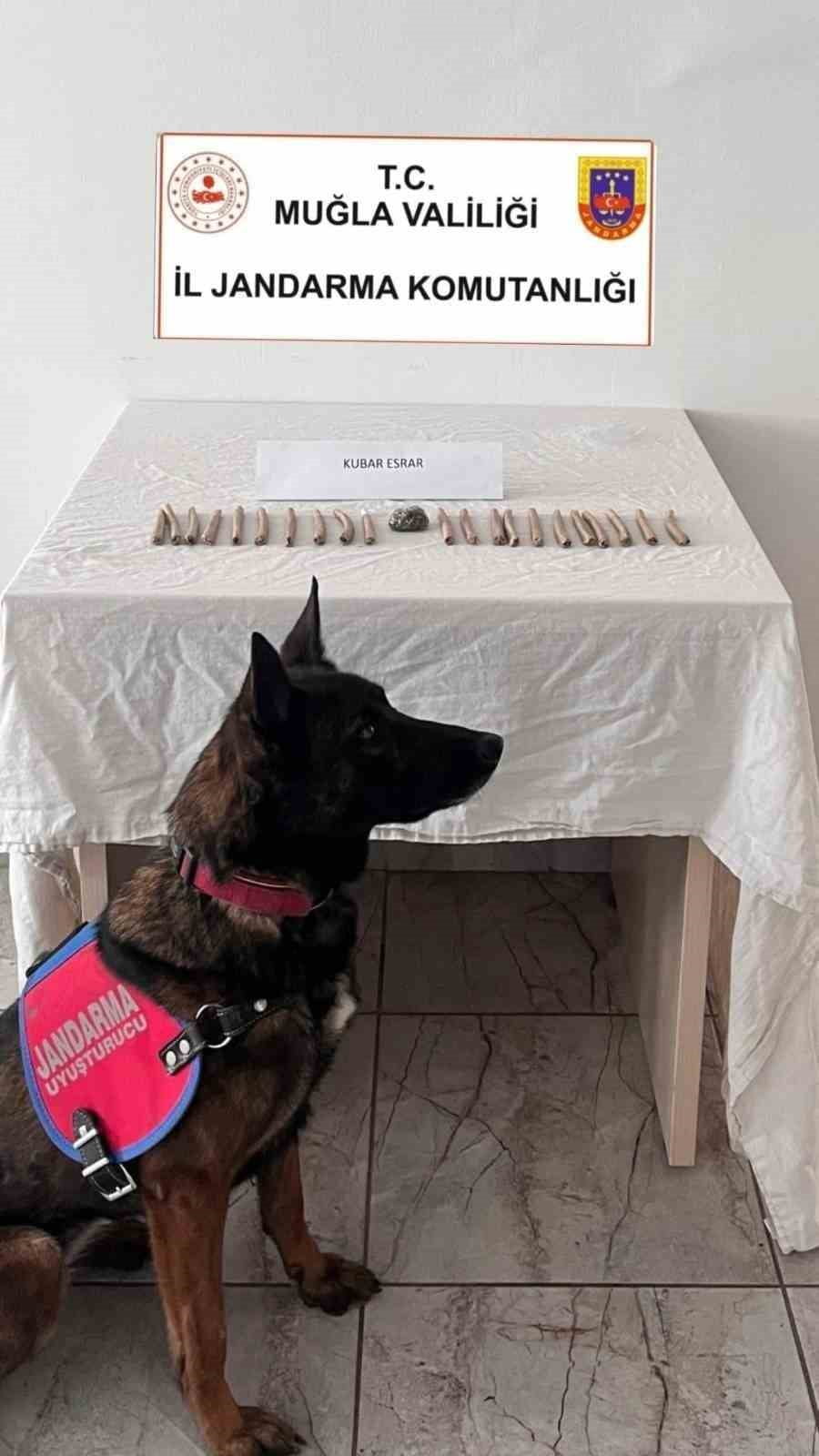 MUĞLA İL JANDARMA KOMUTANLIĞI, 23-29 MART 2026 TARİHLERİ ARASINDA YÜRÜTTÜĞÜ UYUŞTURUCU...