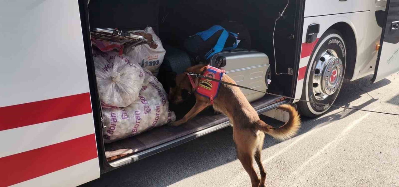 MUĞLA İL JANDARMA KOMUTANLIĞI EKİPLERİNCE 23-29 MART 2026 TARİHLERİ ARASINDA İL GENELİNDE...