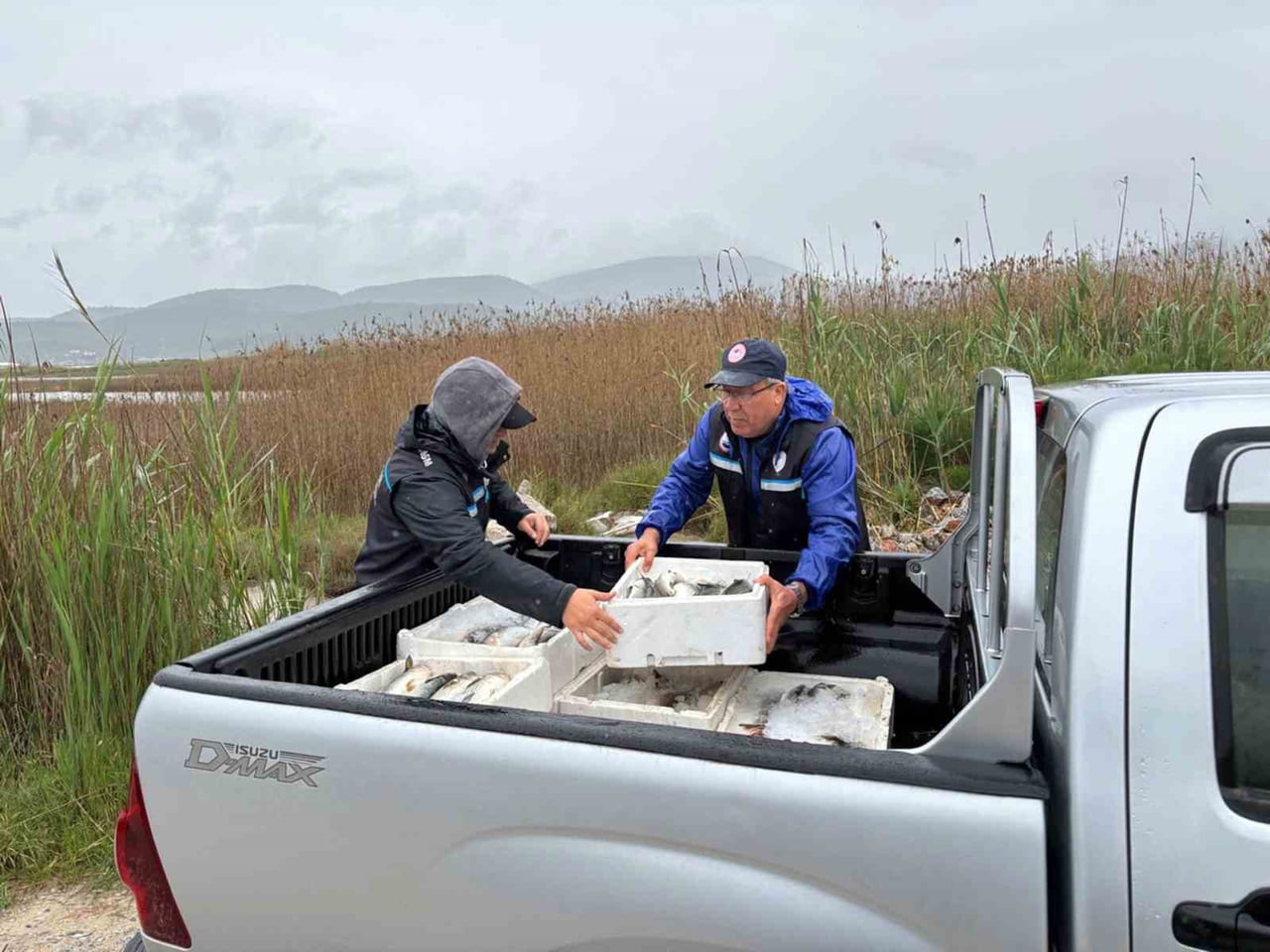 MUĞLA’NIN MİLAS İLÇESİNDE BULUNAN GÜLLÜK LAGÜNÜ’NDE MUĞLA TARIM VE ORMAN İL MÜDÜRLÜĞÜ EKİPLERİ...