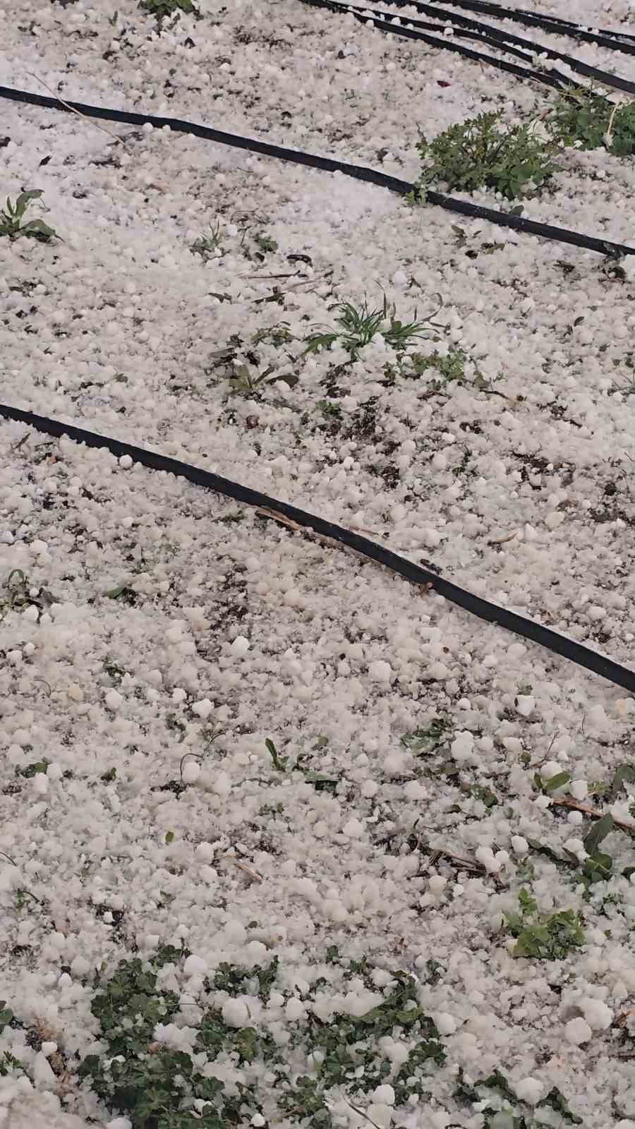 NİĞDE’DE ETKİLİ OLAN SAĞANAK YAĞIŞ, BAZI BÖLGELERDE DOLU İLE BİRLİKTE GÖRÜLDÜ.