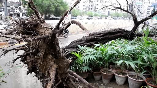 Pakistan'ın Khyber Pakhtunkhwa eyaletinin Bannu kenti ile Pencap eyaletinin Lahor kentinde...