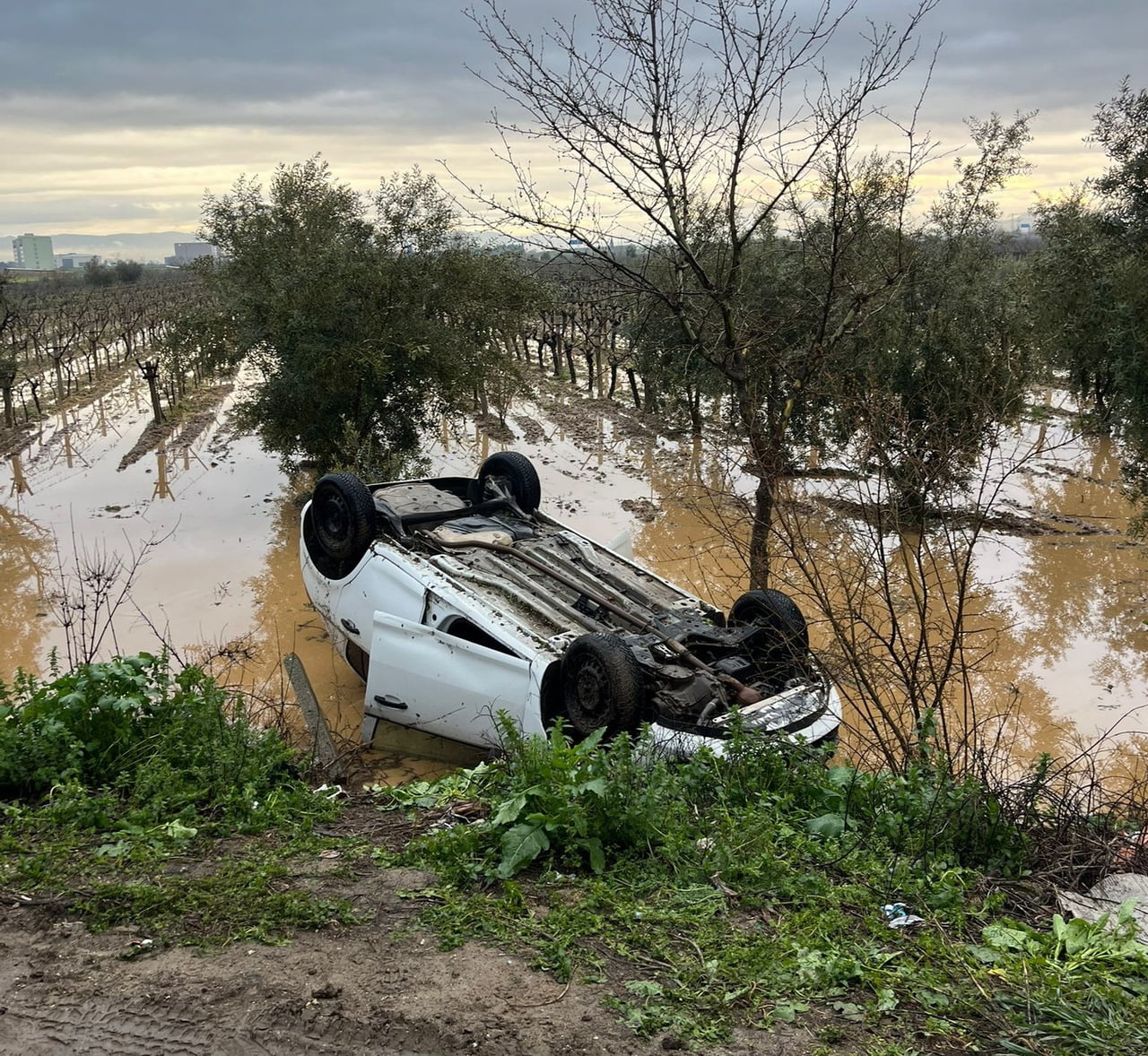 SALİHLİ İLÇESİNDE TAKLA ATARAK TARLAYA UÇAN OTOMOBİL SÜRÜCÜSÜNÜN, ARACINI OLAY YERİNDE BIRAKIP...