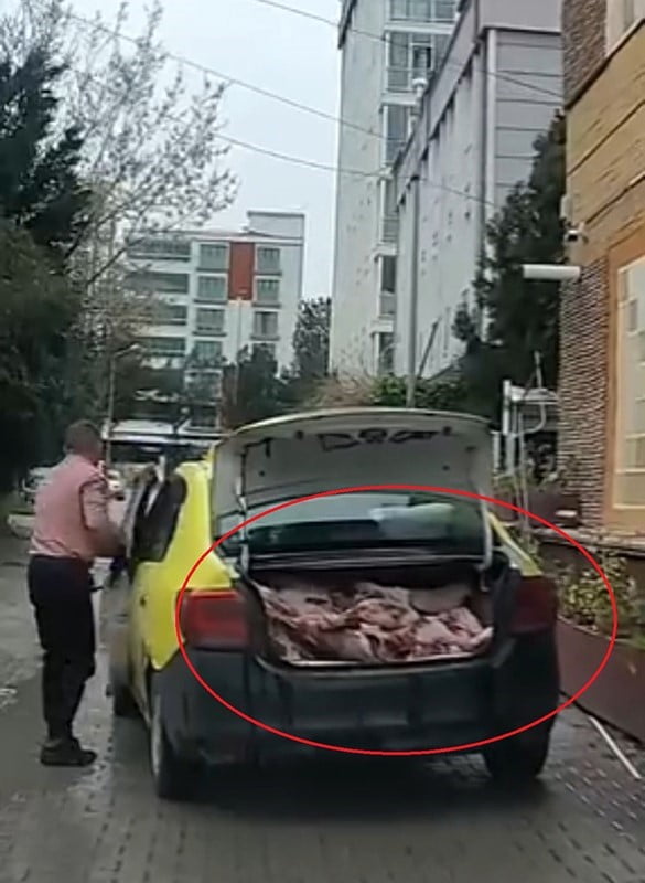 SAMSUN'UN ATAKUM İLÇESİNDE BİR TAKSİNİN BAGAJINDA UYGUNSUZ ŞARTLARDA ET TAŞINDIĞI ANLAR CEP...