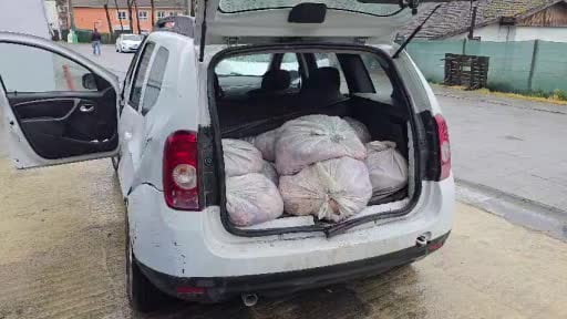 Silivri’de satışa hazır 306 at eti yakalandı, 3 kişi gözaltına alındı