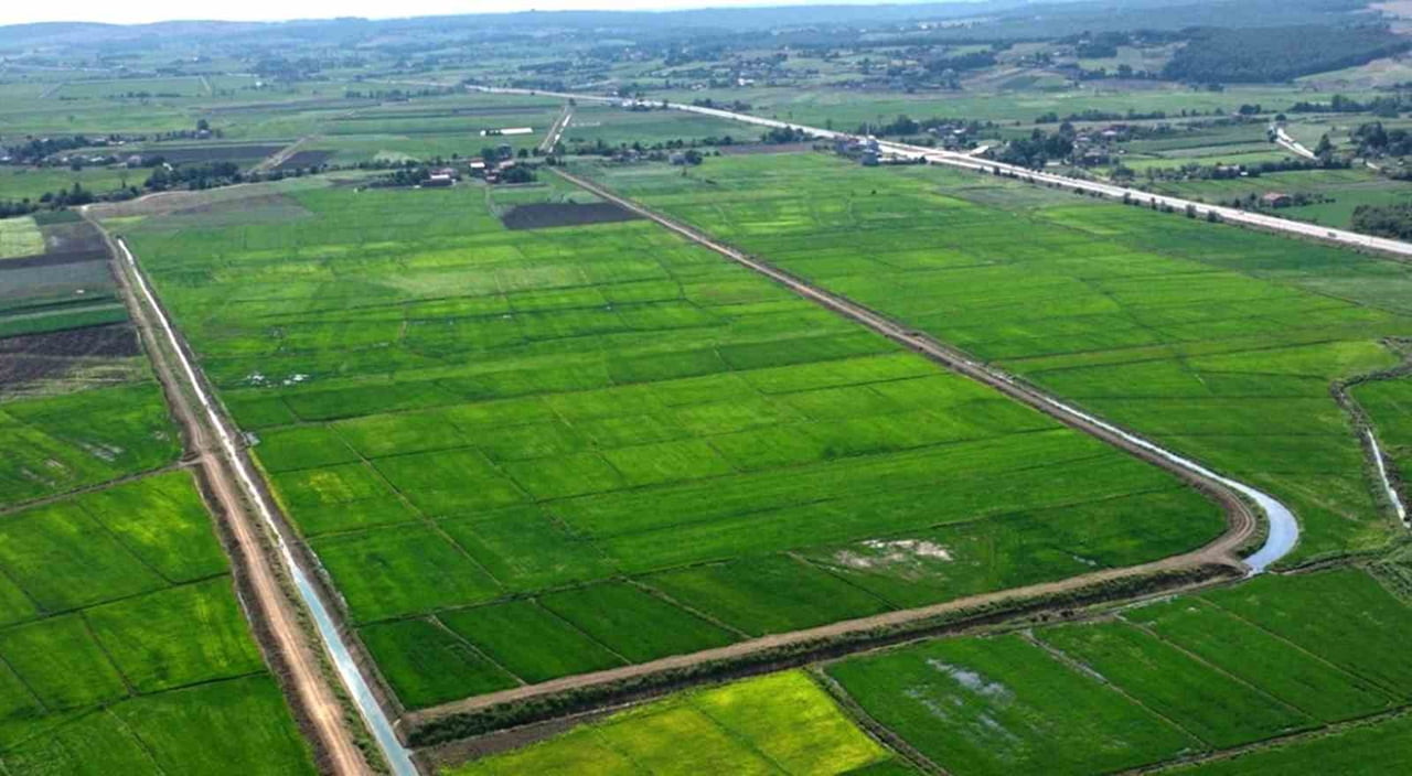 TARIM VE ORMAN BAKANLIĞI, SAMSUN’DA BOZULAN 16 BİN 895 M2 TARIMSAL ALAN İÇİN 48 ADET CEZAİ İŞLEM...