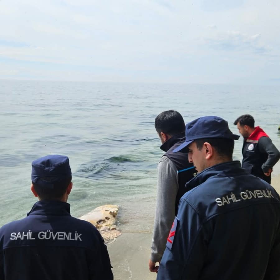 TEKİRDAĞ’DA SAHİLDE HAREKETSİZ HALDE BULUNAN BİR YUNUS BALIĞINI FARK EDEN VATANDAŞLARIN İHBARI...