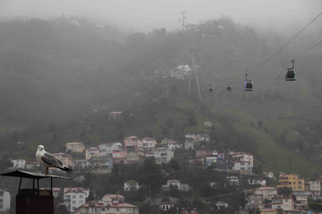 TELEFERİK KABİNLERİ VE KUŞLAR SİSLE BİRLİKTE GÖRSEL GÜZELLİK SUNDU.