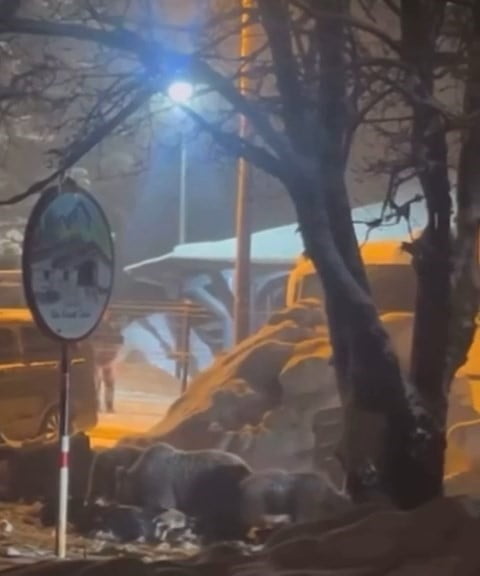 TÜRKİYE’NİN ÖNEMLİ KIŞ TURİZM MERKEZLERİNDEN ULUDAĞ’DA KAR KALINLIĞI YAKLAŞIK 2 METREYE ULAŞIRKEN...