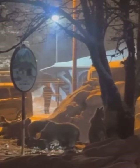 TÜRKİYE’NİN ÖNEMLİ KIŞ TURİZM MERKEZLERİNDEN ULUDAĞ’DA KAR KALINLIĞI YAKLAŞIK 2 METREYE ULAŞIRKEN...