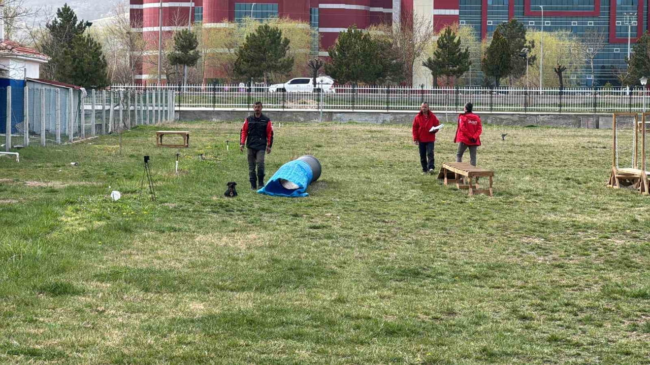 ULUSAL VE ULUSLARARASI ALAN VE ENKAZ ARAMA KÖPEKLERİ SINAVI AFYONKARAHİSAR’DA BAŞLARKEN, SINAVA...