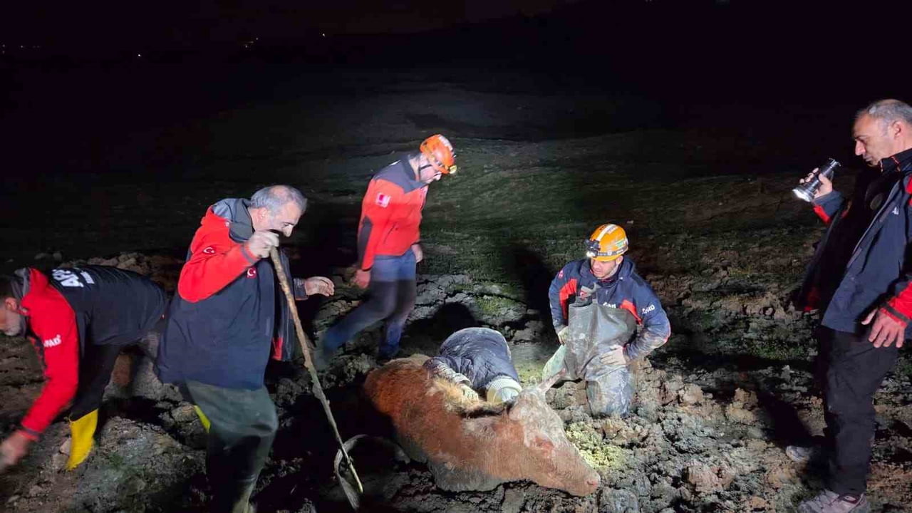 YALOVA’DA BATAKLIK ALANDA MAHSUR KALAN VATANDAŞ VE BÜYÜKBAŞ HAYVANI EKİPLERİN YOĞUN ÇALIŞMASI...