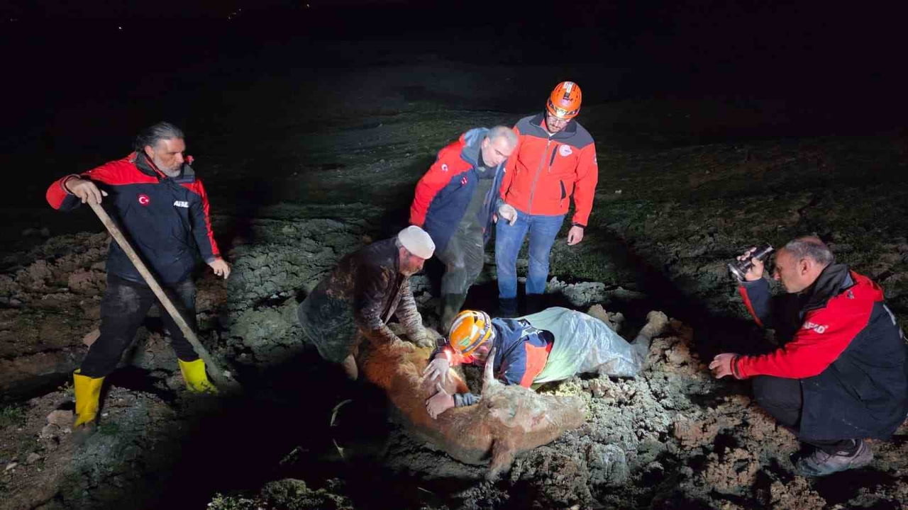 YALOVA’DA BATAKLIK ALANDA MAHSUR KALAN VATANDAŞ VE BÜYÜKBAŞ HAYVANI EKİPLERİN YOĞUN ÇALIŞMASI...