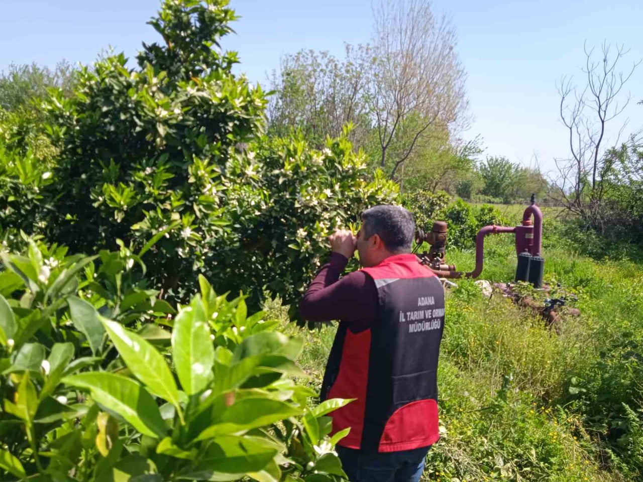 ADANA’NIN KOZAN İLÇESİNDE, BİOTOP PROJESİ ÇERÇEVESİNDE ÜRETİCİLERE YÖNELİK BİYOLOJİK VE BİYOTEKNİK...