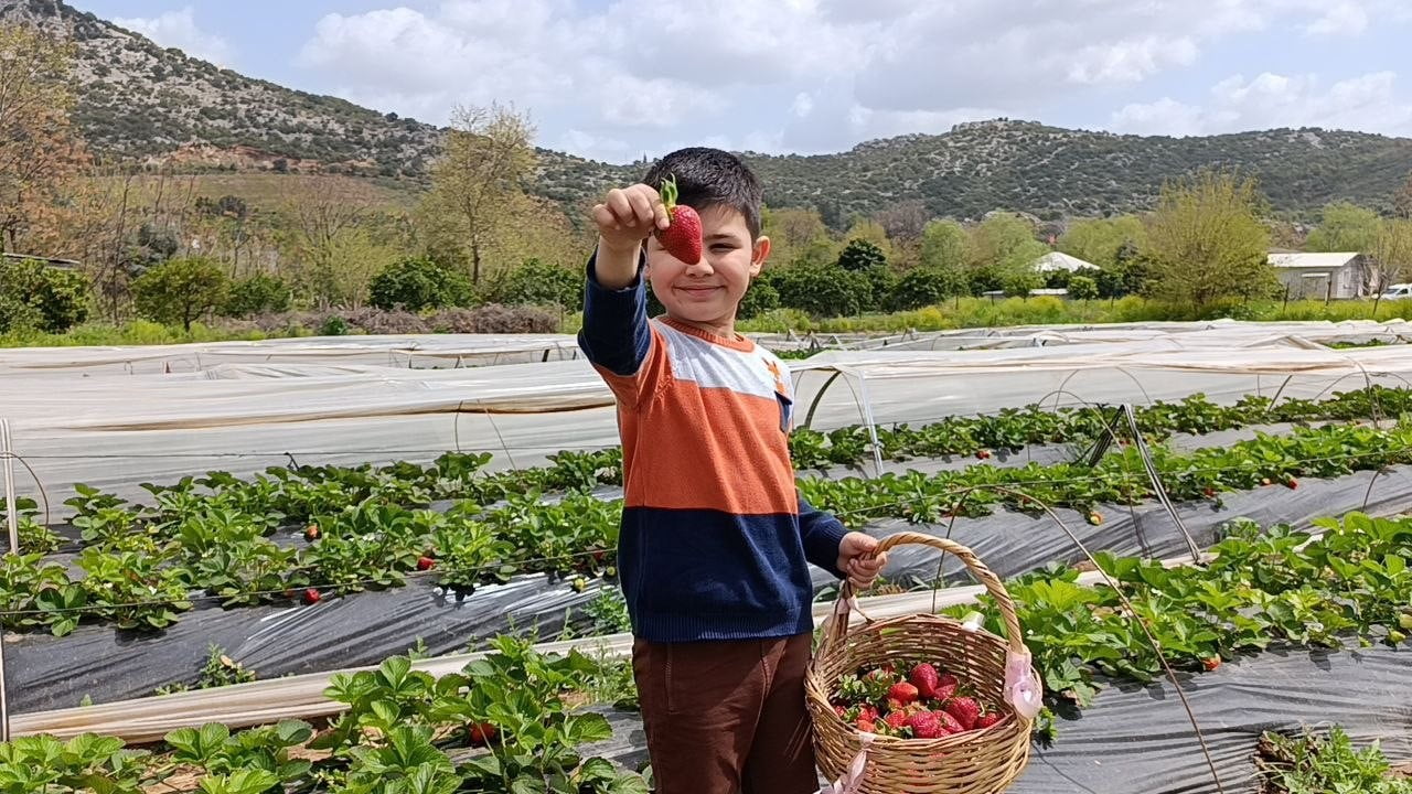 ADANA’NIN KOZAN İLÇESİNDE GÜNLERDİR ETKİLİ OLAN SAĞANAK YAĞIŞ VE ÇÖL TOZUNUN ARDINDAN HAFTA SONU...