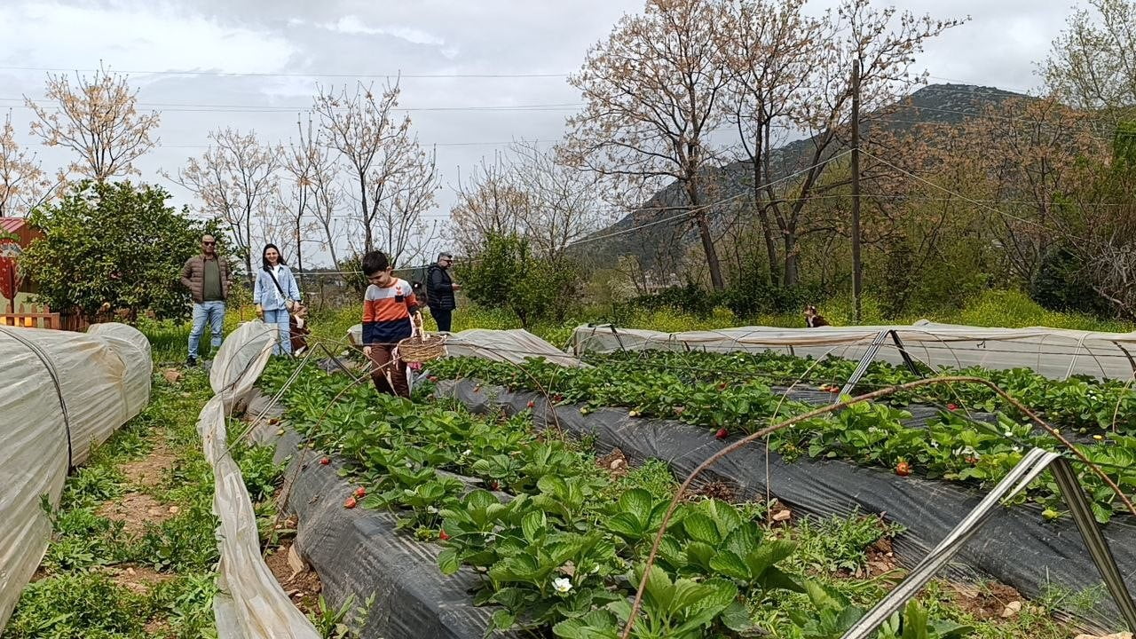 ADANA’NIN KOZAN İLÇESİNDE GÜNLERDİR ETKİLİ OLAN SAĞANAK YAĞIŞ VE ÇÖL TOZUNUN ARDINDAN HAFTA SONU...