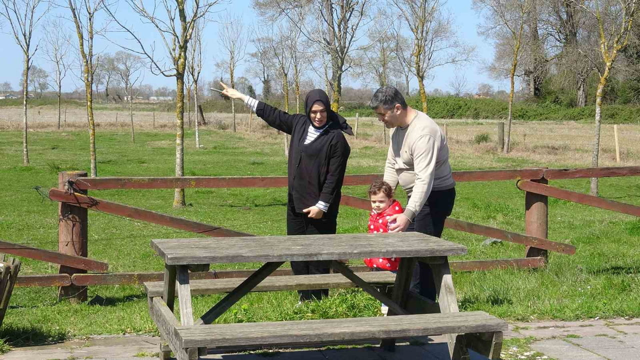 AFRİKA'DAN 7 BİN KİLOMETRE YOL KAT EDEREK SAMSUN KIZILIRMAK DELTASI KUŞ CENNETİ'NE GELEN...