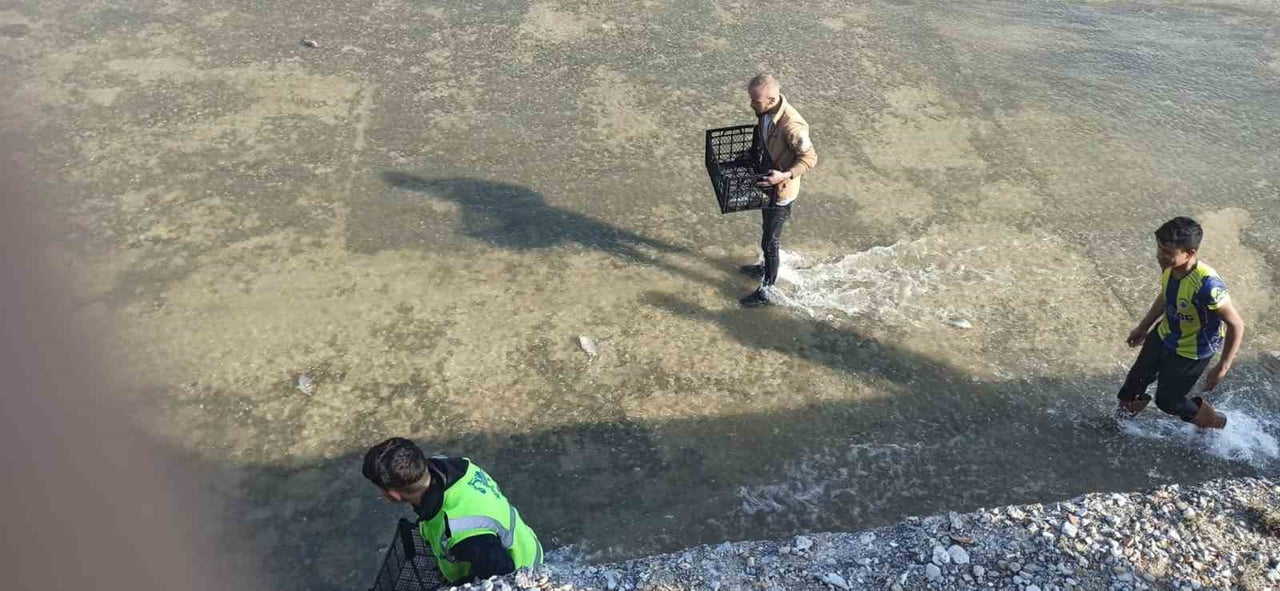 AFYONKARAHİSAR'DA SUBSEVİYESİ ARTAN BARAJIN AÇILAN KAPAKLARINDAKİ AKINTIYLA SÜRÜKLENEN BALIKLAR...