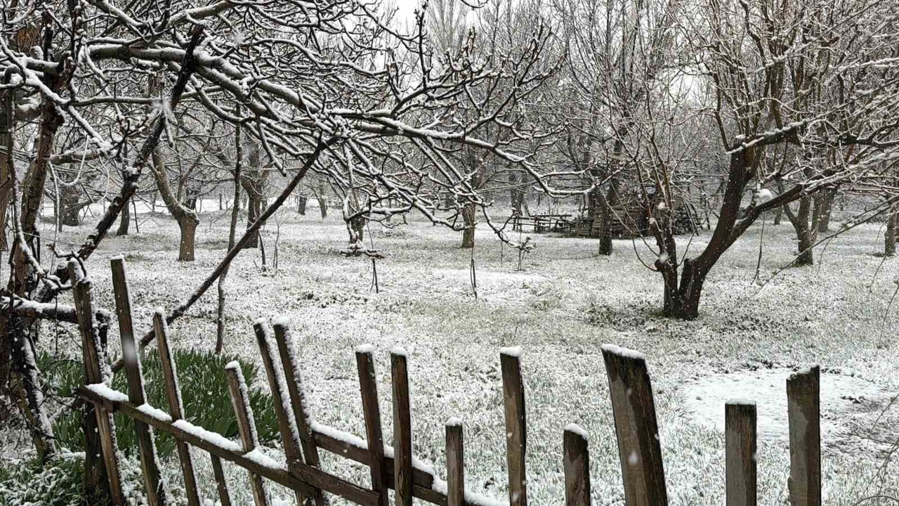 AFYONKARAHİSAR'IN ÇAY İLÇESİNDE LAPA LAPA YAĞAN KAR YAĞIŞI SONRASI ETRAF BEYAZA BÜRÜNDÜ.