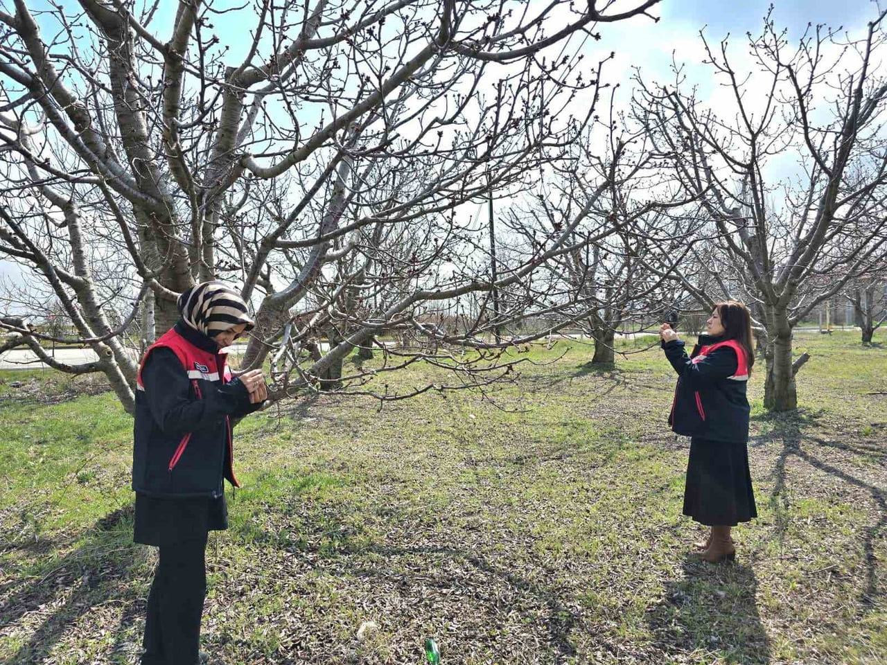 AFYONKARAHİSAR’DA ZİRAİ DON UYARISI SONRASI TARIMSAL ALANLARDA HASAR TESPİT ÇALIŞMALARI...
