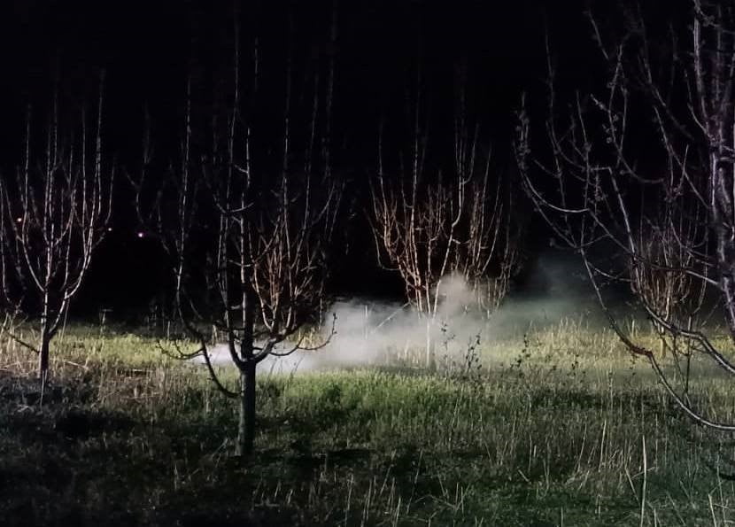 AFYONKARAHİSAR TARIM VE ORMAN MÜDÜRLÜĞÜ EKİPLERİ ÜRETİCİLERİN ZİRAİ DON ZARARINDAN EN AZ DÜZEYDE...