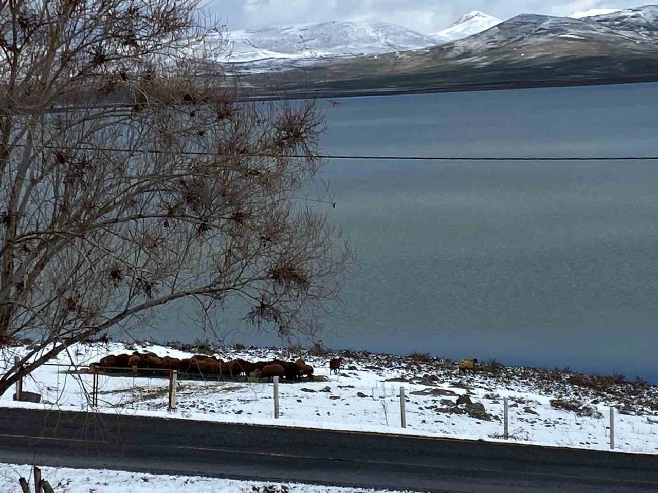 AĞRI’DA NİSAN AYINDA KAR SÜRPRİZİ