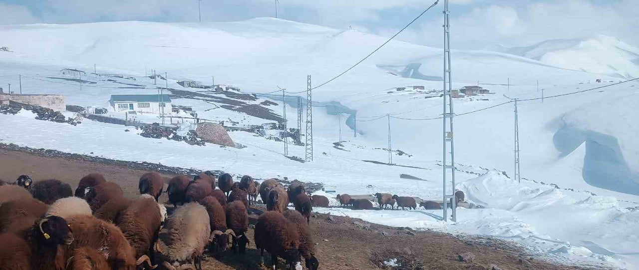 AĞRI’NIN TAŞLIÇAY İLÇESİNE BAĞLI GÜNDOĞDU KÖYÜNDE, NİSAN AYI ORTASINDA ETKİLİ OLAN YOĞUN KAR...