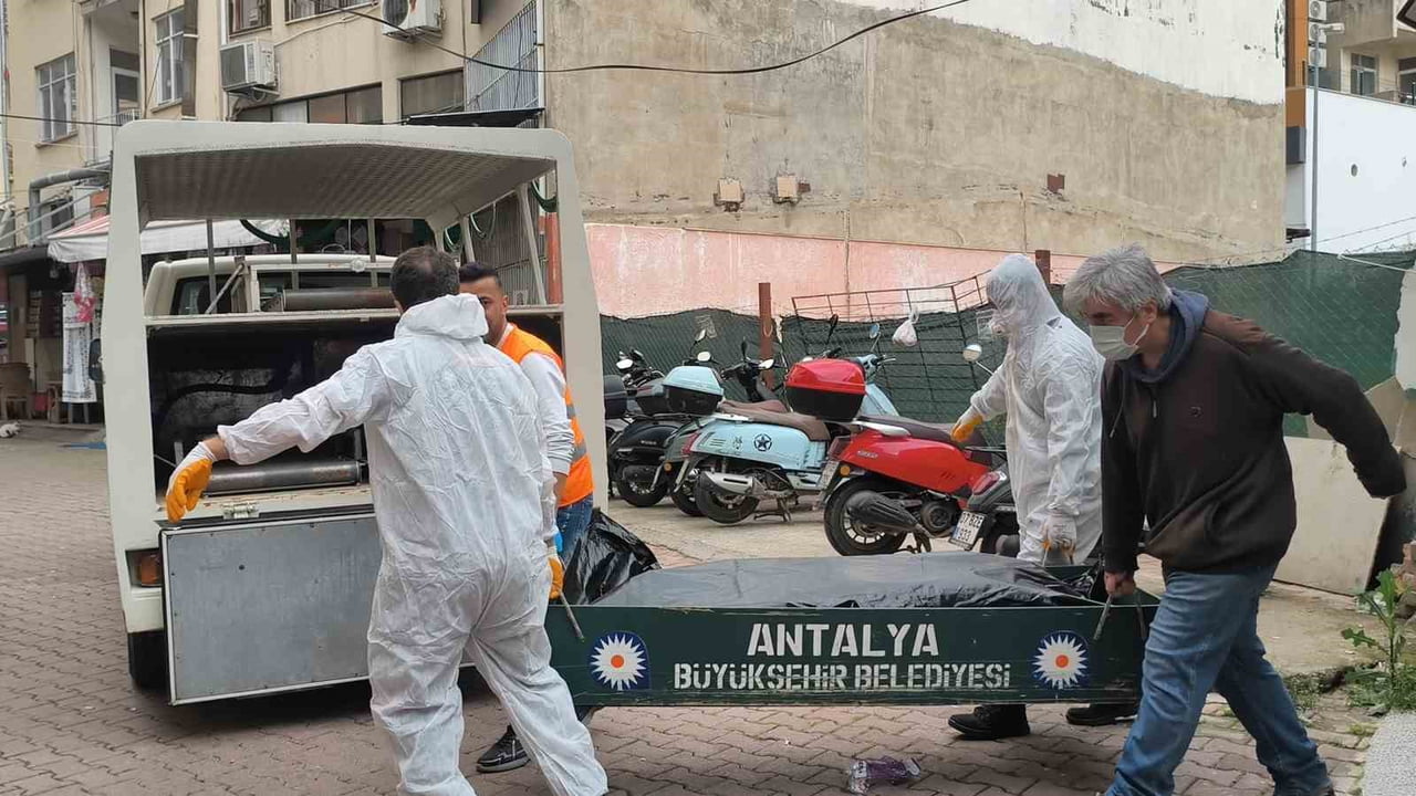 AHMET DOĞAN'IN CANSIZ BEDENİ SAVCILIK VE OLAY YERİ İNCELEME EKİBİNİN ÇALIŞMASININ ARDINDAN KESİN...