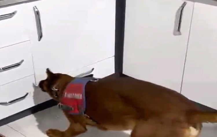 AKSARAY MERKEZDE BİR İKAMETE YÖNELİK OPERASYON DÜZENLENDİ