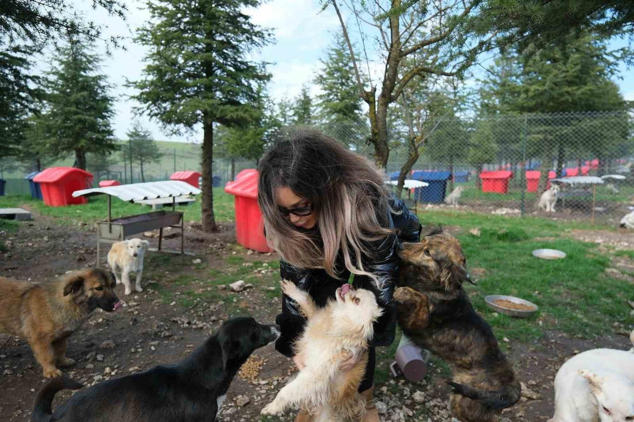 ALTIEYLÜL'DE CAN DOSTLARA BÜYÜK DESTEK