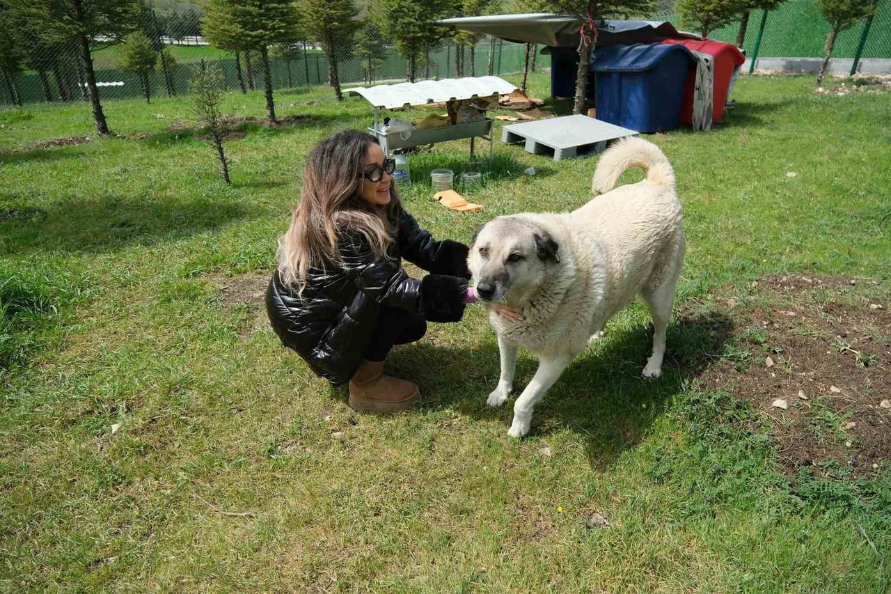 ALTIEYLÜL'DE CAN DOSTLARA BÜYÜK DESTEK