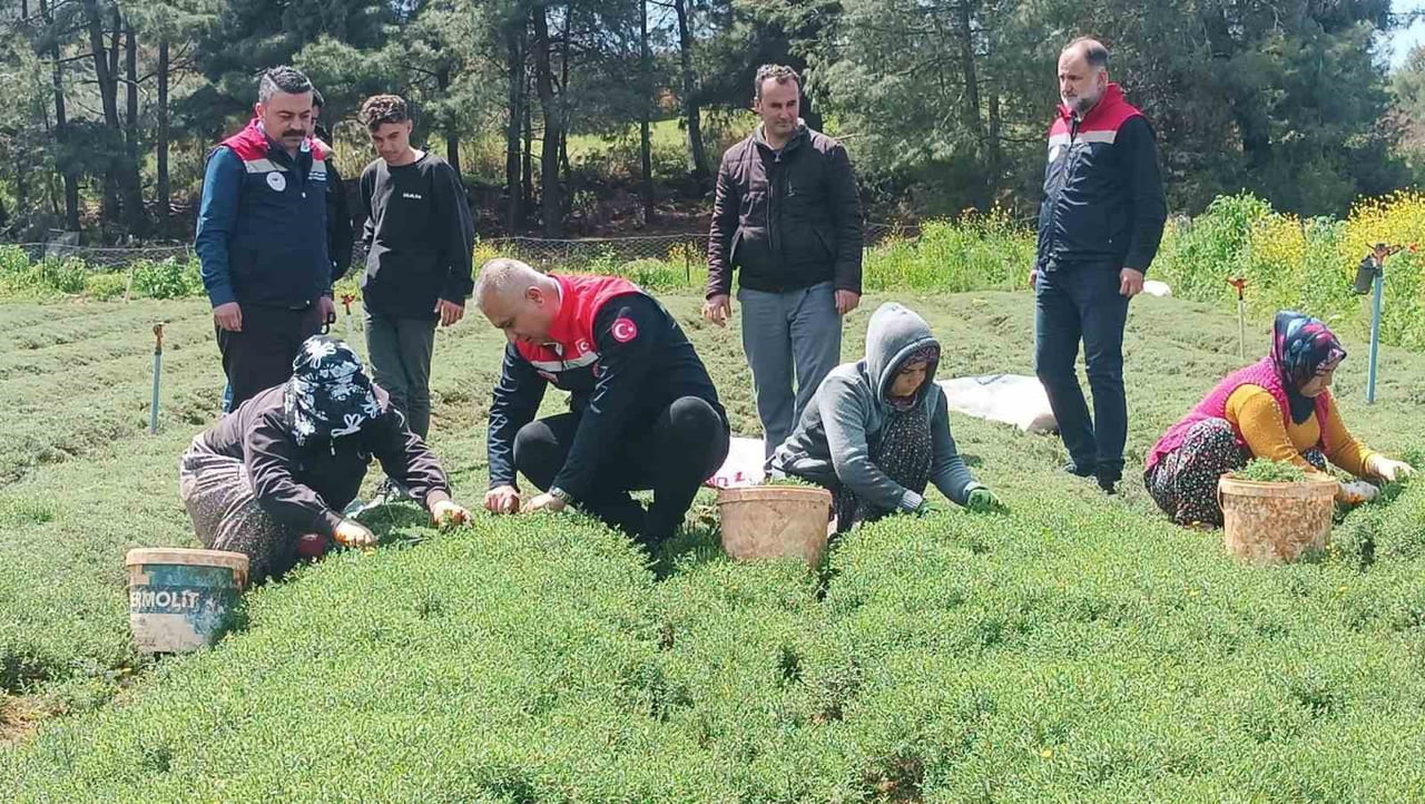 ALTINÖZÜ’NDE ZAHTER HASADI İNCELENDİ.