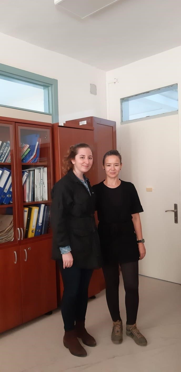 ANADOLU ÜNİVERSİTESİ EĞİTİM FAKÜLTESİ MATEMATİK EĞİTİMİ ANABİLİM DALI DR. ÖĞR. ÜYESİ BETÜL BARUT...