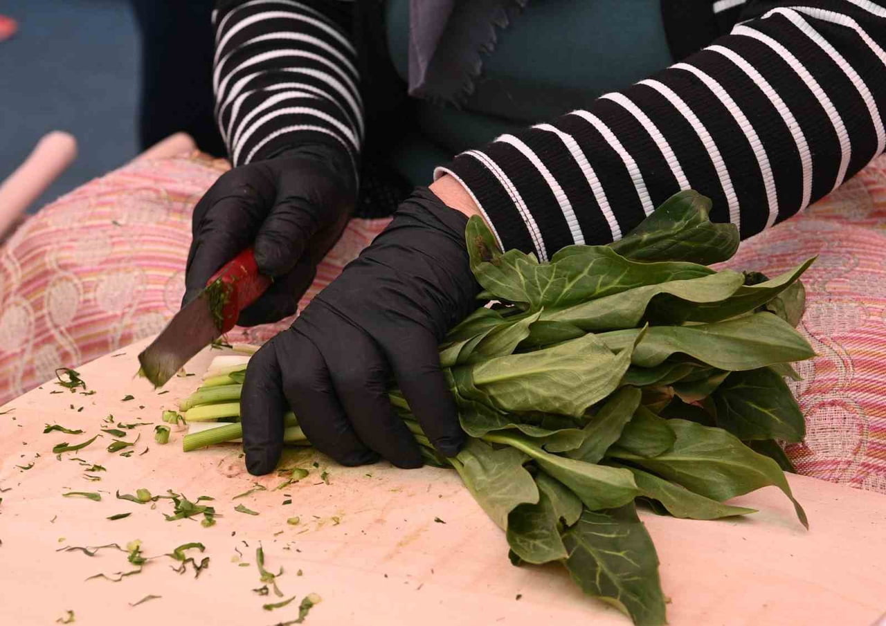 ANDIRIN BELEDİYESİ TARAFINDAN DÜZENLENEN GELENEKSEL TİRŞİK FESTİVALİ’NE KATILAN BAŞKAN GÖRGEL...