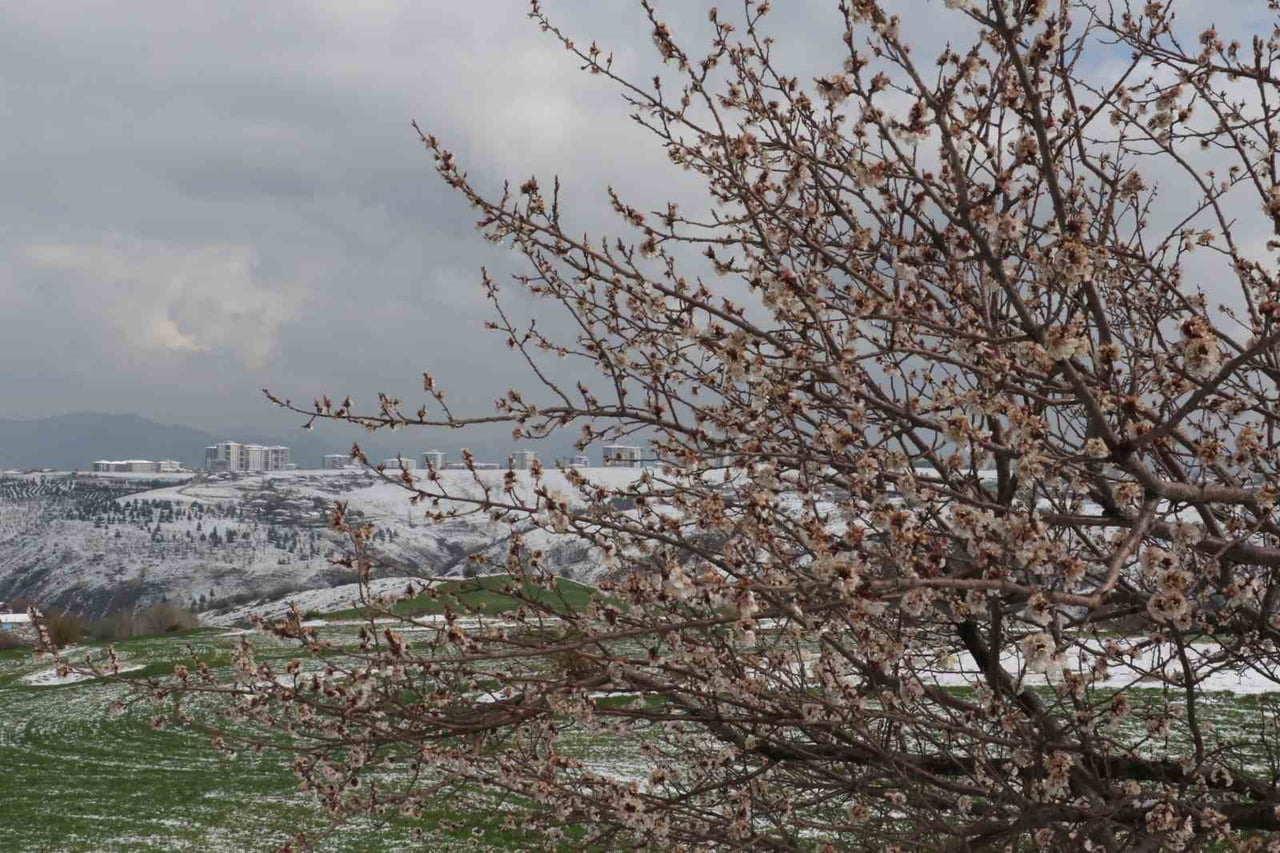 ANKARA’DA SABAH SAATLERİNE YAĞMAYA BAŞLAYAN KAR KENTİ BEYAZA BÜRÜDÜ. YÜKSEK KESİMLERDE ETKİLİ OLAN...