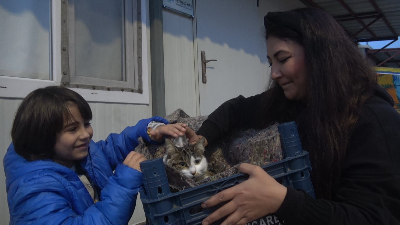 ANNE VE EVLADININ ŞEFKATLE BAKTIKLARI ANNE KEDİYE OĞLU DORUK ‘ZEYTİN’ İSMİNİ VERDİ VE YAVRULARLA...