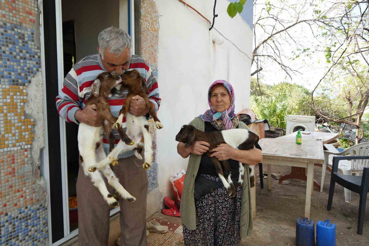 ANTALYA'NIN KONYAALTI İLÇESİNDE YARIM ASRI AŞKIN SÜREDİR KEÇİ YETİŞTİRİCİLİĞİ YAPAN MENŞURE...