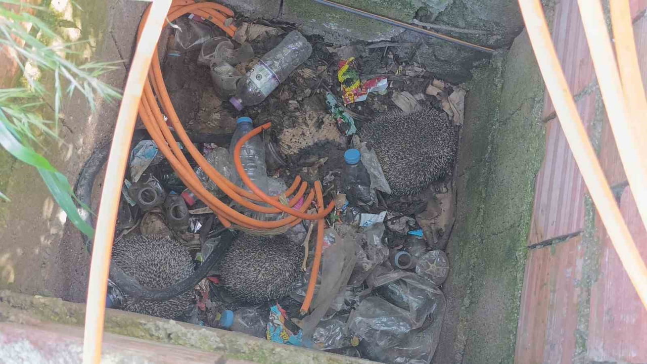 ANTALYA'NIN MANAVGAT İLÇESİNDE İTFAİYE EKİPLERİ, GELEN İKİ AYRI İHBAR ÜZERİNE GERÇEKLEŞTİRDİKLERİ...