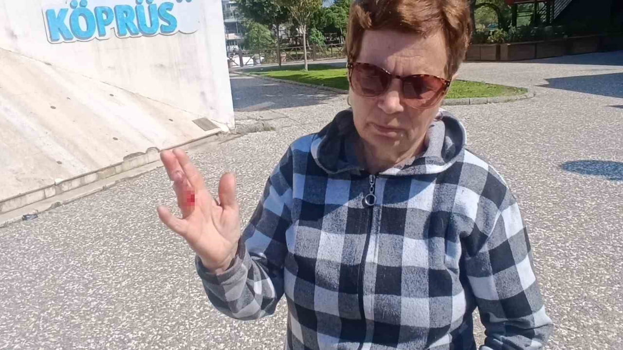 ANTALYA MANAVGAT IRMAK KENARINDA KÖPEĞİYLE YÜRÜYÜŞE ÇIKAN UKRAYNA UYRUKLU KADIN, KUCAĞINDAKİ...