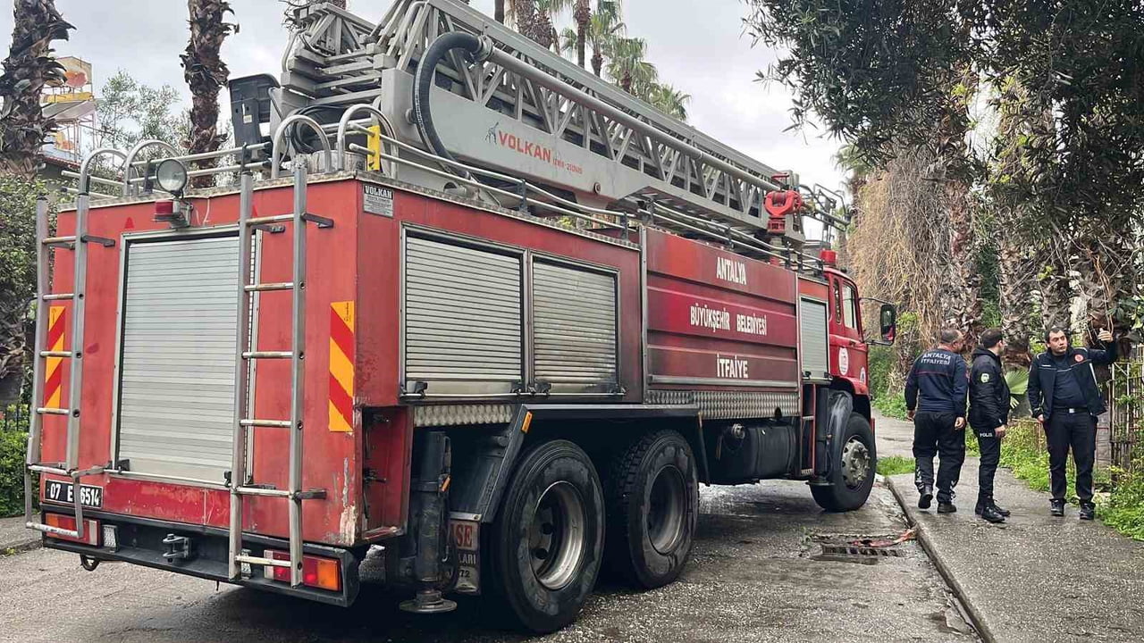 ANTALYA’NIN ALANYA İLÇESİNDE BİR EV KEDİSİ İÇİN MAHSUR KALDIĞI İÇİN YAPILAN İHBAR, ASILSIZ...