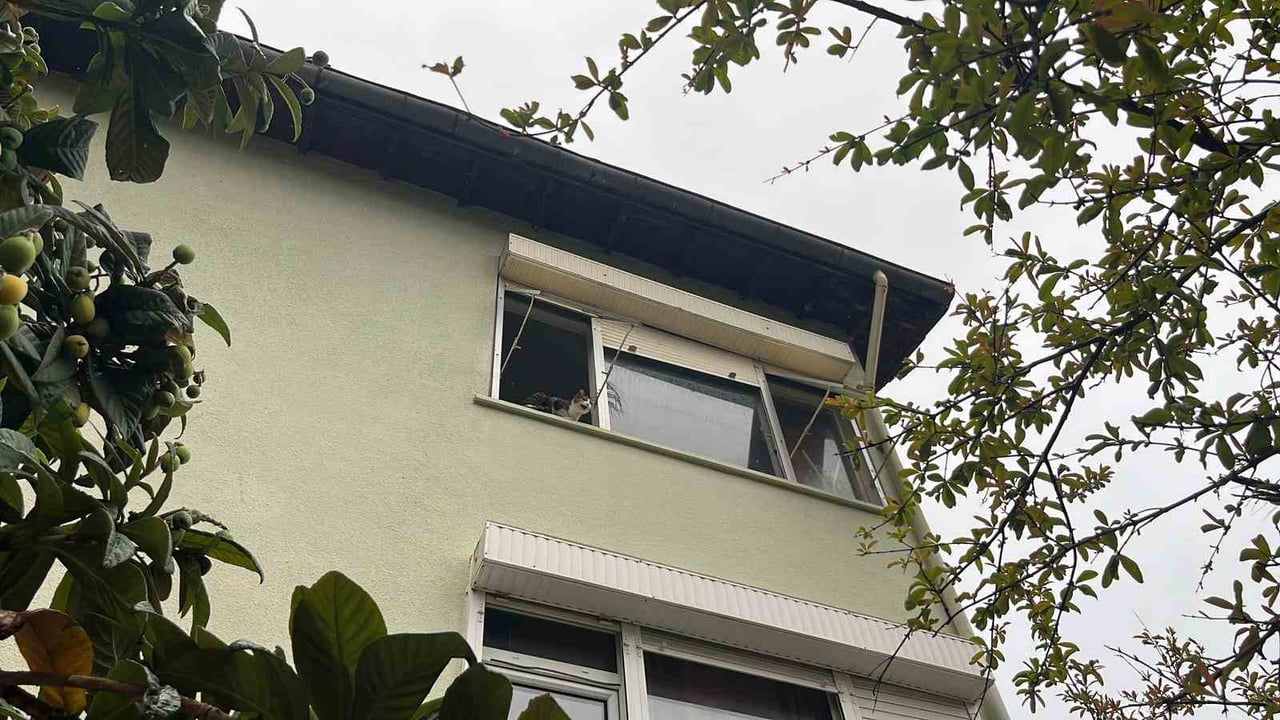 ANTALYA’NIN ALANYA İLÇESİNDE BİR EV KEDİSİ İÇİN MAHSUR KALDIĞI İÇİN YAPILAN İHBAR, ASILSIZ...