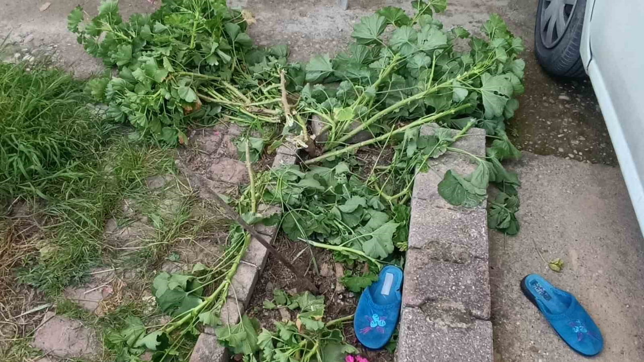 ANTALYA’NIN MANAVGAT İLÇESİNDE 3. KAT PENCERESİNDEN DÜŞEN 4 YAŞINDAKİ ZEYNEP ÜREK, BETON YERİNE...