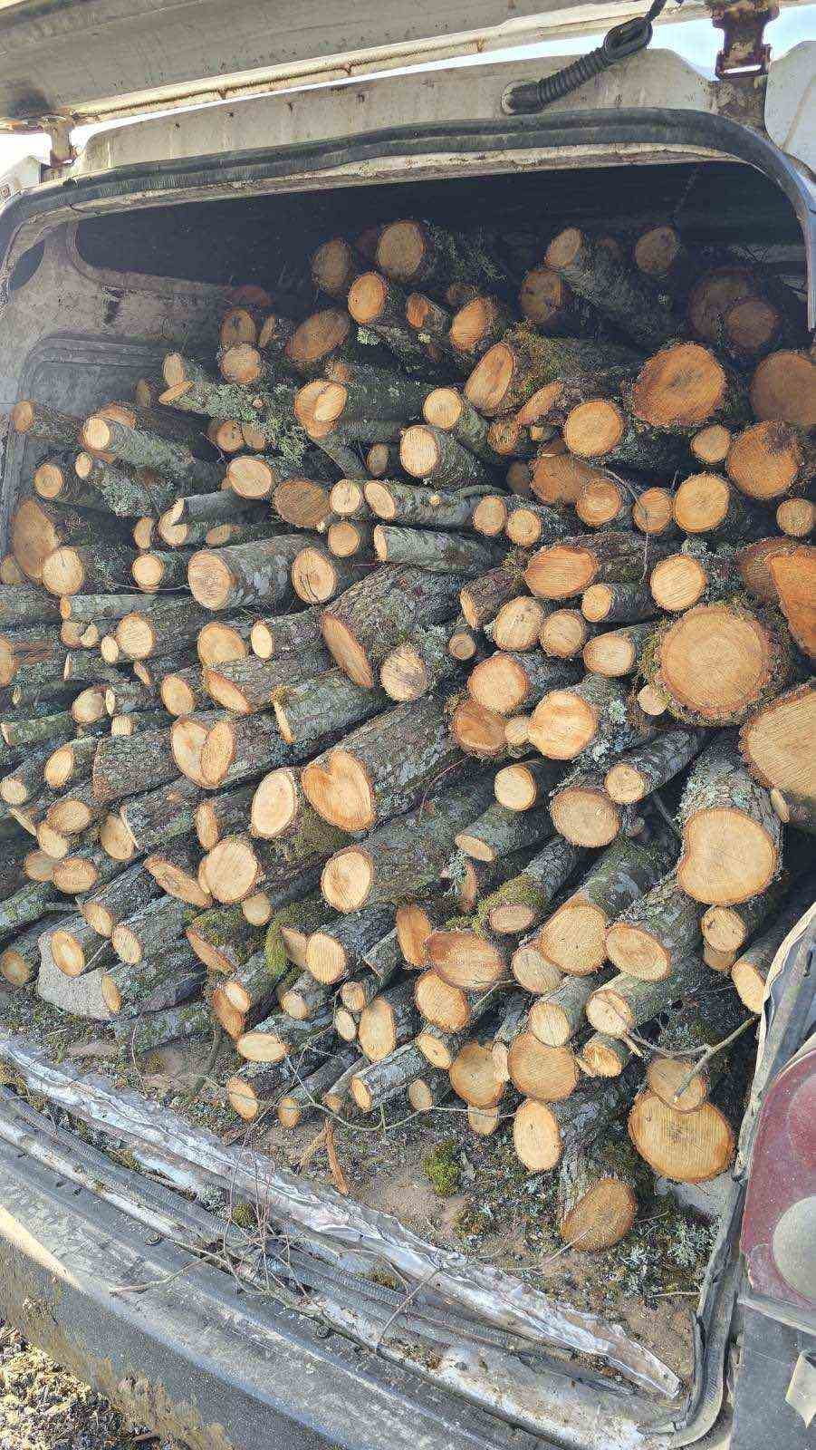 ARAÇTA 4 STER KAÇAK ODUN ELE GEÇİRİLDİ