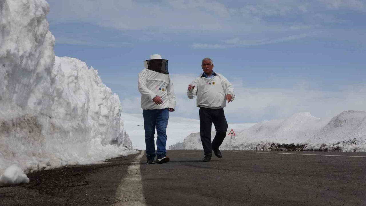 ARDAHAN'DA, DENİZ SEVİYESİNDEN 2 BİN 581 METRE YÜKSEKLİKTE BULUNAN BÜLBÜLHAN GEÇİDİ'NDE BİR ARAYA...