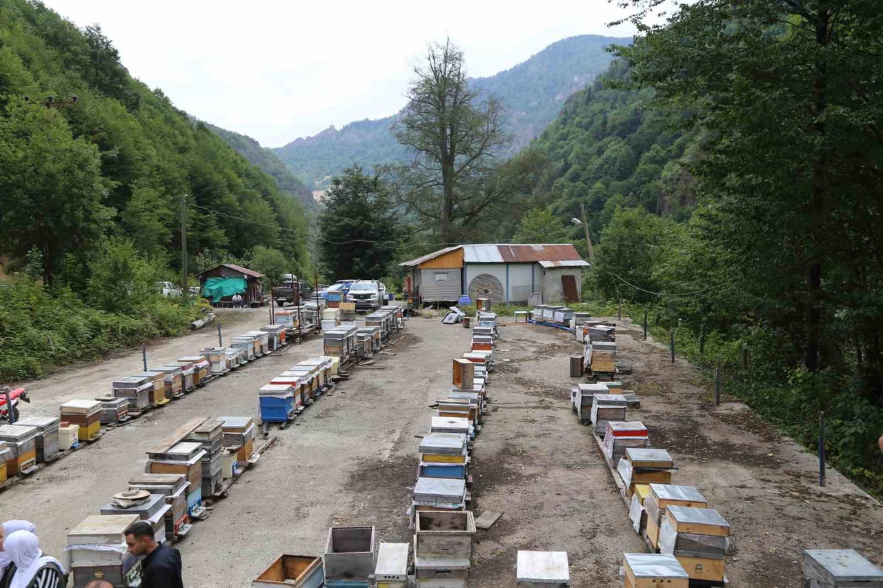 ARTVİN’DE ETKİLİ OLAN ANİ SOĞUK HAVA ARILARIN GELİŞİMİNİ OLUMSUZ ETKİLERKEN, ÜRETİCİLER TEDİRGİN...