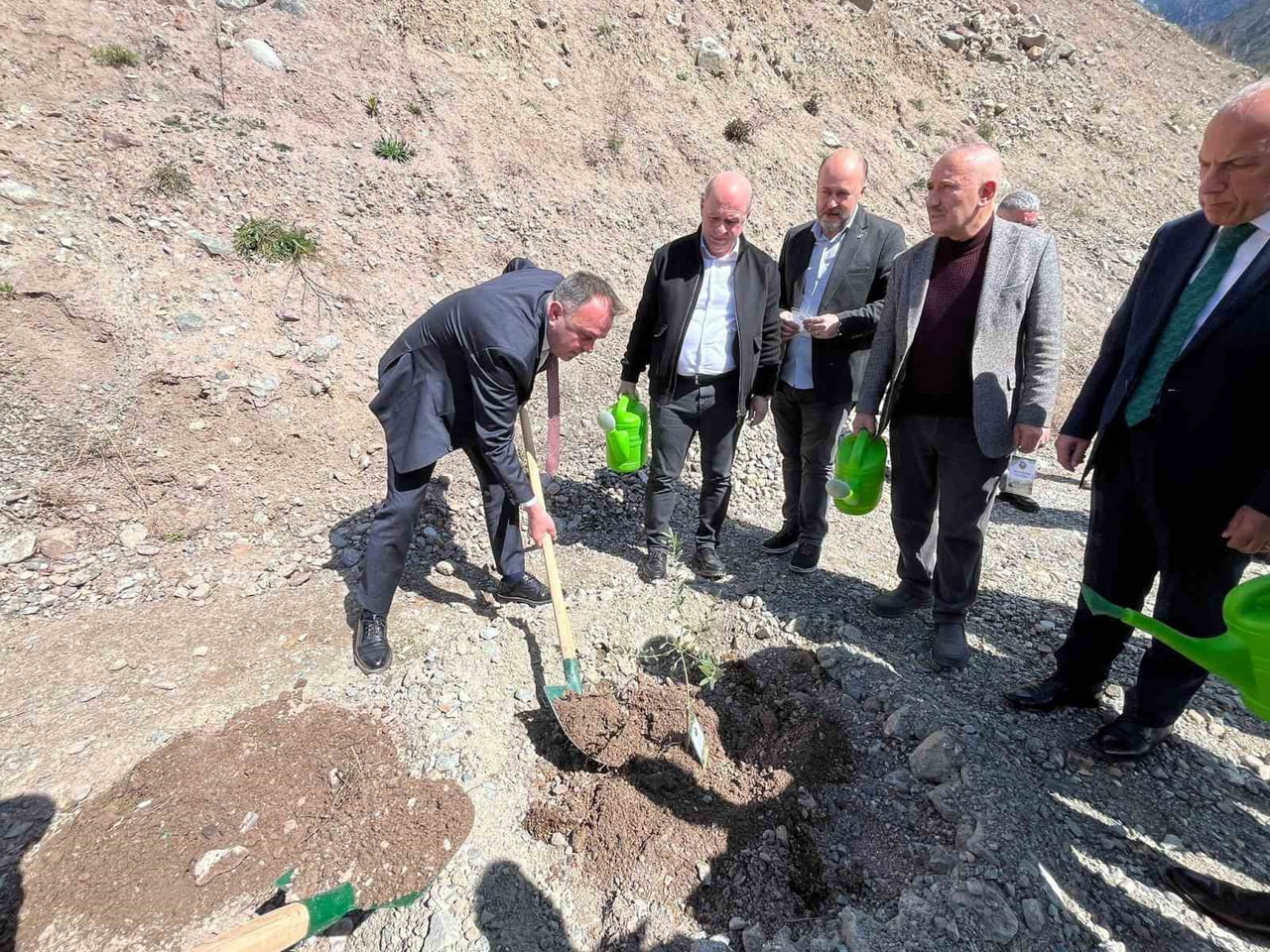 ARTVİN’DE GERÇEKLEŞTİRİLEN FİDAN DİKİMİYLE BUTKO ZEYTİNİ ÜRETİMİNİN ARTIRILMASI VE YENİ BAHÇELERİN...