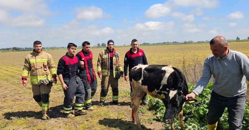 ASA SU KANALINA DÜŞEN İNEK, İTFAİYE EKİPLERİ TARAFINDAN KURTARILDI (FOTOĞRAFLI) CEMAL KILINÇ HATAY...